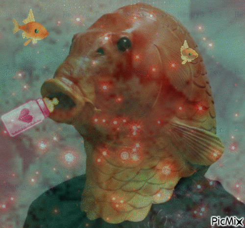 delire du poisson rouge - GIF animado grátis
