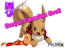 Banjan Canadian Evoli - Бесплатный анимированный гифка