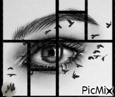 Mirada prisionera - PNG gratuit