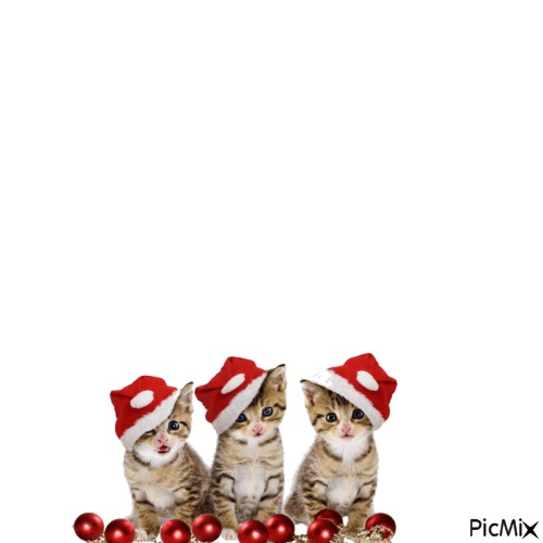 gatto natale - Free PNG