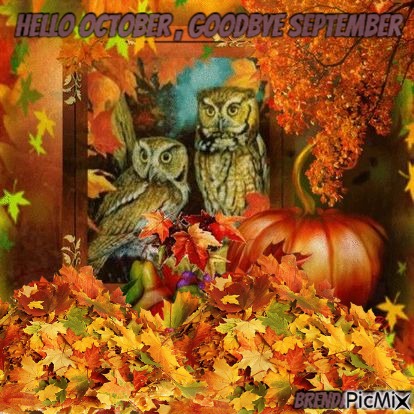 October owl - bezmaksas png
