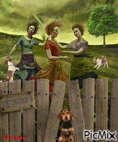 Mujeres y perros - Besplatni animirani GIF