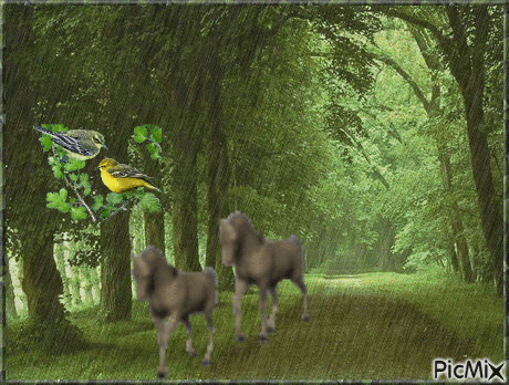 lovak - Nemokamas animacinis gif