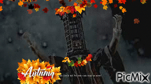 fall micolash - Free animated GIF