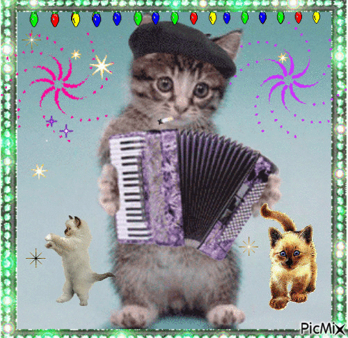 chat accordéon - Nemokamas animacinis gif