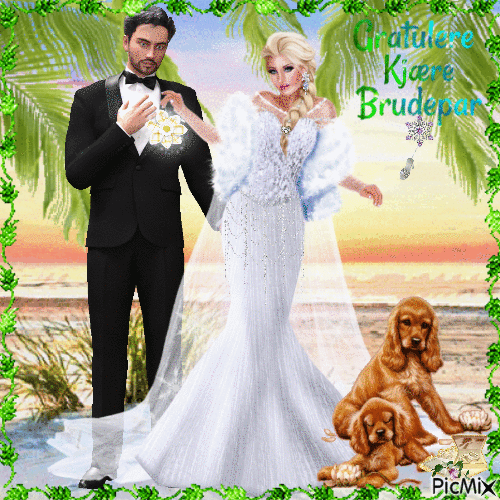Congratulations dear Bride and Groom. - GIF animado grátis