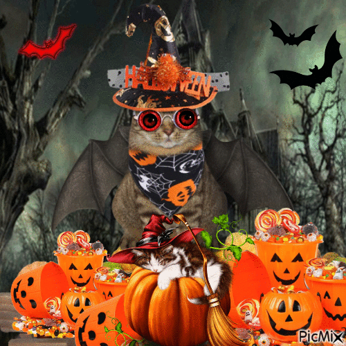Gato disfrazado de Halloween - GIF animé gratuit