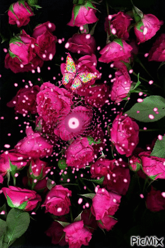 trandafirii - Nemokamas animacinis gif