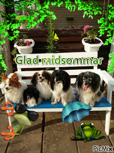 midsummer - Zdarma animovaný GIF