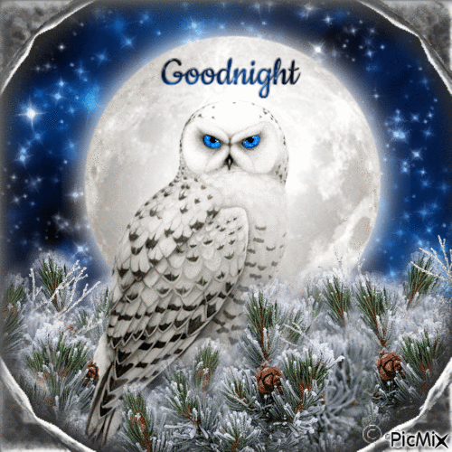 Goodnight-RM-02-04-23 - Δωρεάν κινούμενο GIF