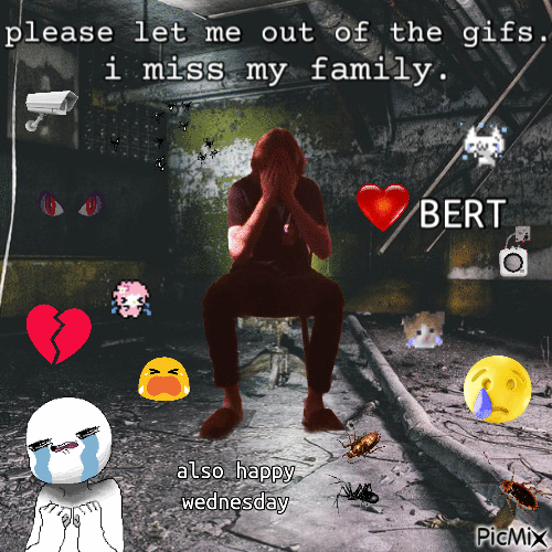 I miss my family bert - GIF animé gratuit
