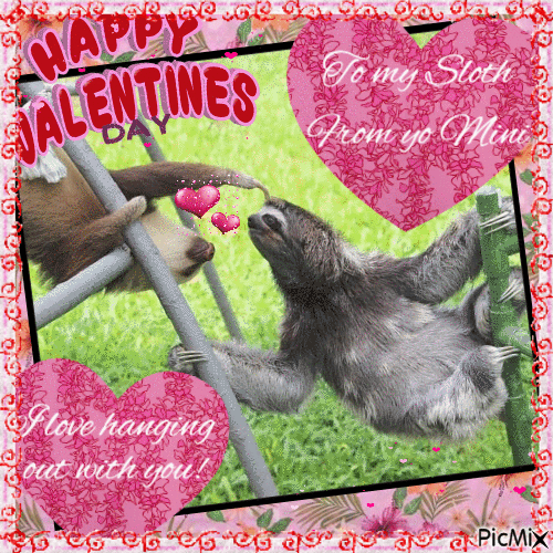 Valentines Sloths - Besplatni animirani GIF