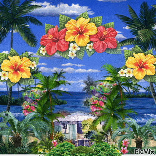 Tropical - Bezmaksas animēts GIF