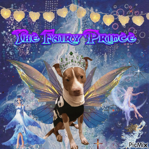 the fairy prince X3!!11!!!1!!! - Free animated GIF