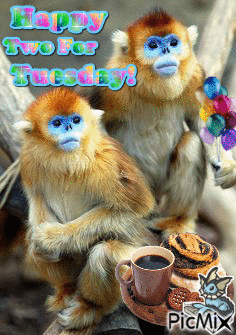 Happy Two For Tuesday! - Ingyenes animált GIF