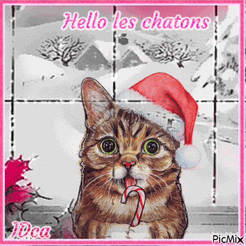 Hello les chatons - Darmowy animowany GIF