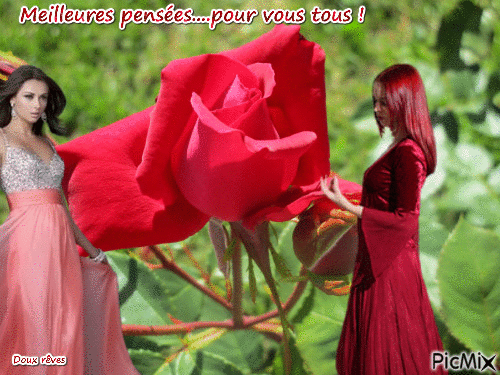 Une rose - Free animated GIF