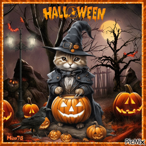 Chat déguisé d'halloween - GIF animate gratis