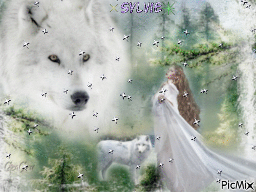 peinture de loups ma création a partager sylvie - Бесплатный анимированный гифка