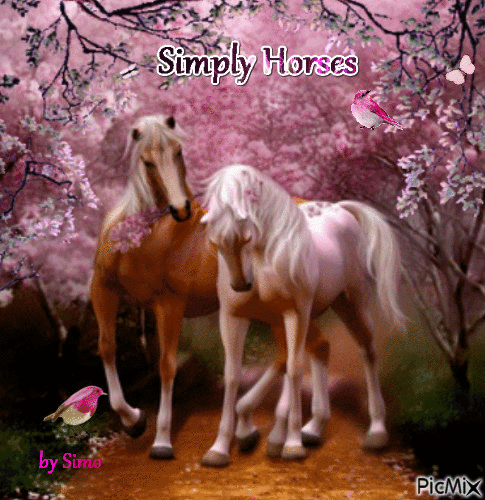 horses - Zdarma animovaný GIF