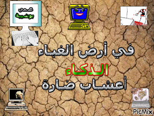 عمي بوشيبة عين الذهب 5 - Zdarma animovaný GIF