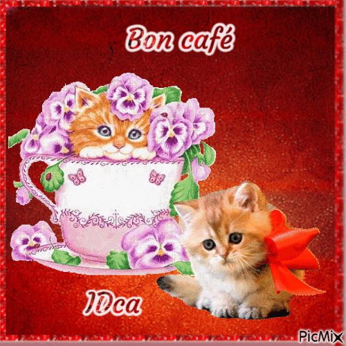 Bon café les chats - Δωρεάν κινούμενο GIF