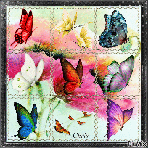 9 cases et des papillons - Безплатен анимиран GIF