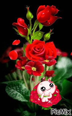 Flores rojas - Gratis animeret GIF