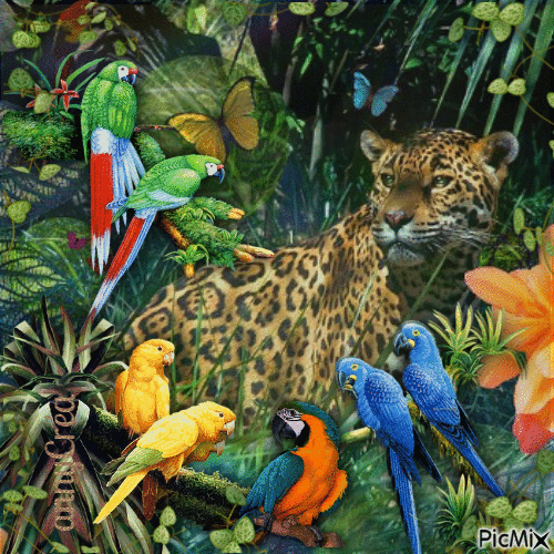 Le jaguar et les perroquets - 無料のアニメーション GIF