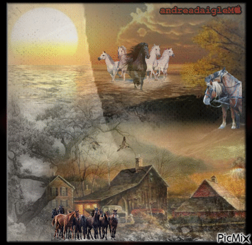 paysage chevaux - Бесплатни анимирани ГИФ