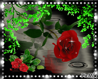 Rose in the rain - Бесплатни анимирани ГИФ