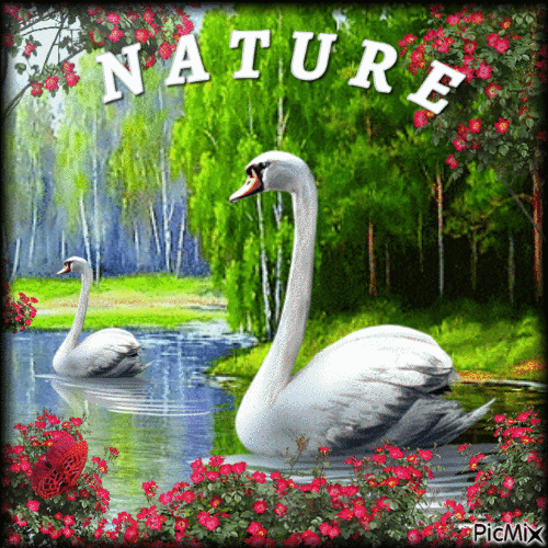NATURE - 無料のアニメーション GIF