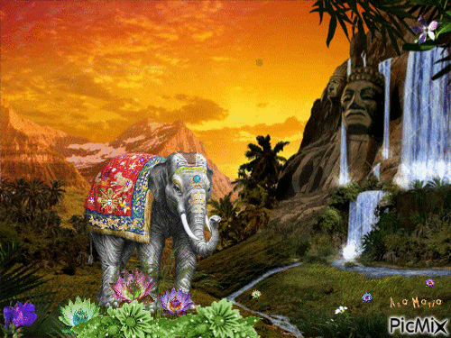 Elefante da cascata - GIF animé gratuit