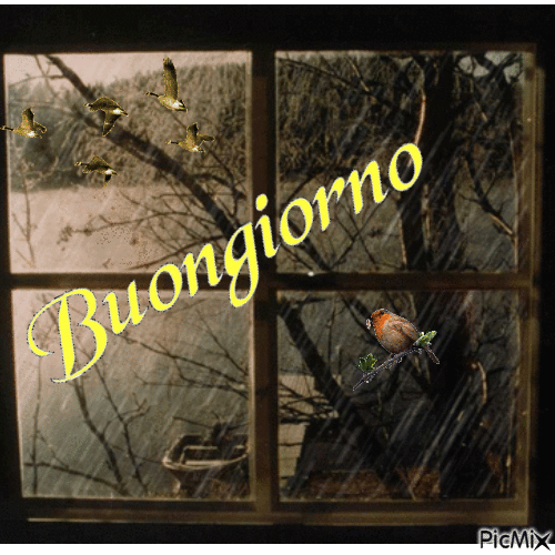 Buongiorno piovoso - Бесплатный анимированный гифка