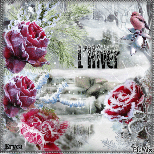 Roses d'hiver - Бесплатный анимированный гифка