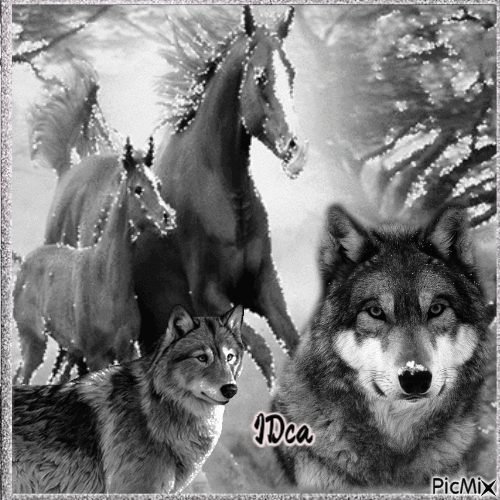 Loups et chevaux - Безплатен анимиран GIF