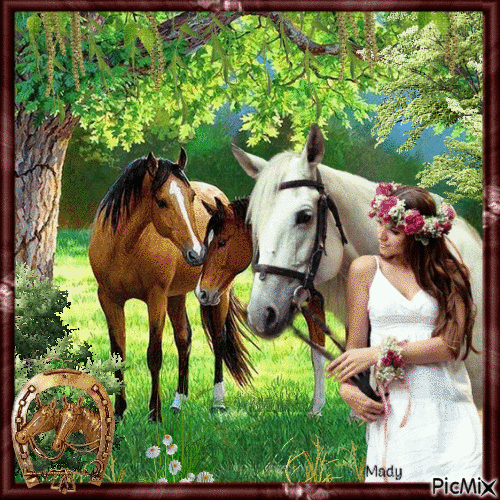 La femme et ses chevaux - Δωρεάν κινούμενο GIF