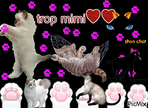 trop mimi - Free animated GIF