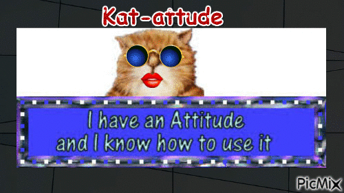 Cat-attude - Animovaný GIF zadarmo