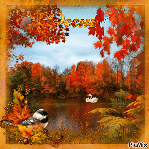 Осенняя природа - Бесплатный анимированный гифка - PicMix