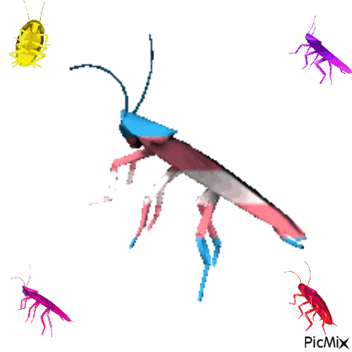 cockroaches - GIF animé gratuit