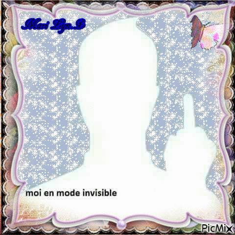 moi invisible(humour) - Free animated GIF
