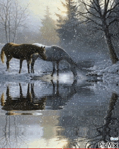 Horses in the snow - Zdarma animovaný GIF