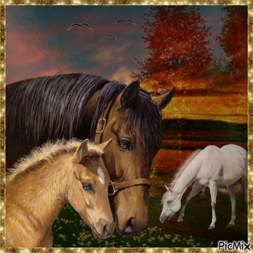 Lindos caballos!! - Ücretsiz animasyonlu GIF