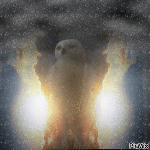 OWL ART - Besplatni animirani GIF