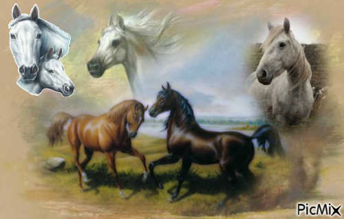 le cheval - Free PNG