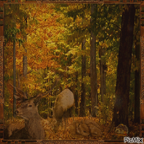 Animaux de la forêt en automne - Gratis animerad GIF