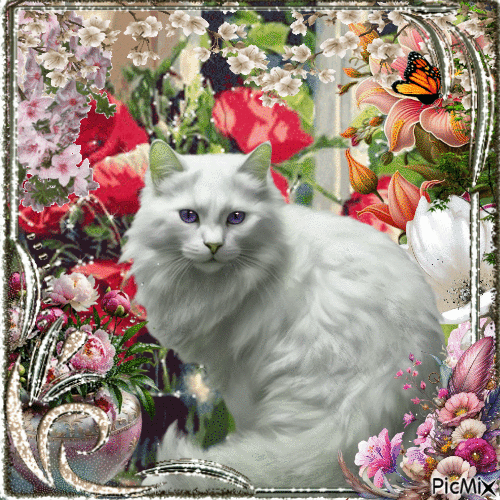 Retrato de un gato blanco entre flores. - GIF animé gratuit