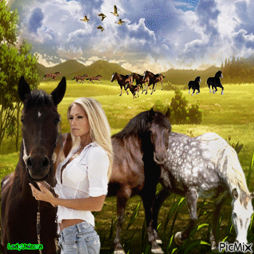 Horses galloping on the pasture - Kostenlose animierte GIFs