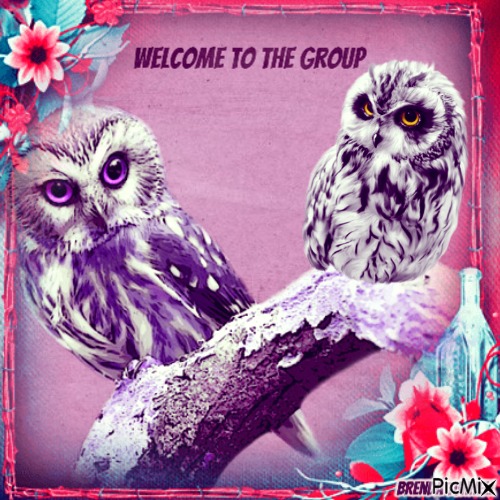 welcome owl - безплатен png